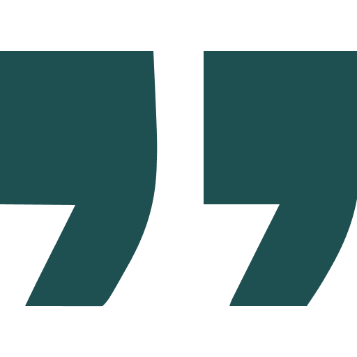 Wellness service icon